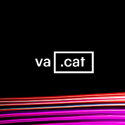 
                                                VA.CAT
                                    