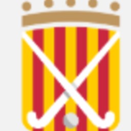 PROTOCOL D'ACTUACIÓ EN CAS DE LESIÓ (Federats)