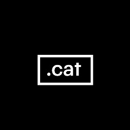 Domini .cat 