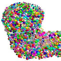 Albert Cardona - MRC Laboratory of Molecular Biology