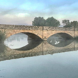 REPOSITORI de s'Albufera de Mallorca (1976-Avui)